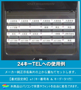 NTT αA1/N1用 ＬＫすっきりシート 100台分セット 【 LS-NT51-100 】_画像8