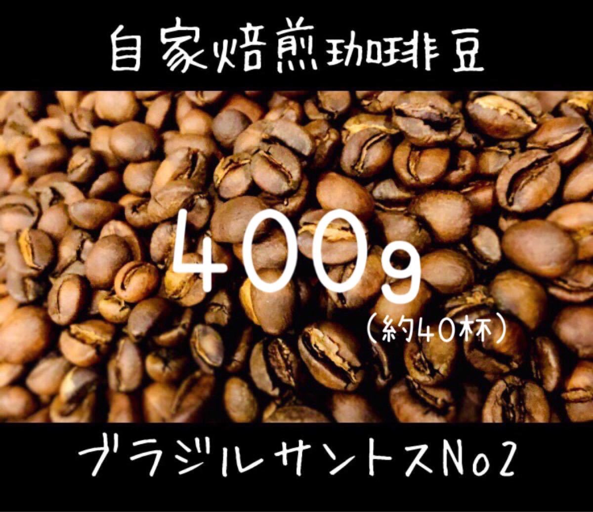 自家焙煎 ブラジルサントスNo2 珈琲豆 コーヒー豆 【豆or粉】400g