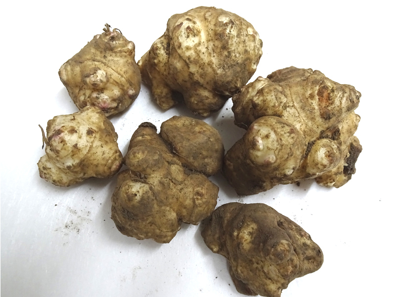 土付き300g250円 菊芋（キクイモ） 健康食品　食用・種イモとしても可能 無農薬_300g です。