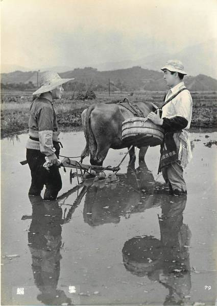 p31635成瀬巳喜男淡島千景新珠三千代司葉子『鰯雲』スチル_画像1