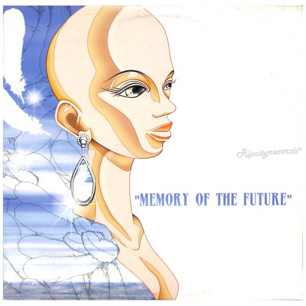 【レコード/邦】DJ NOZAWA /MEMORY OF THE FUTURE_画像1