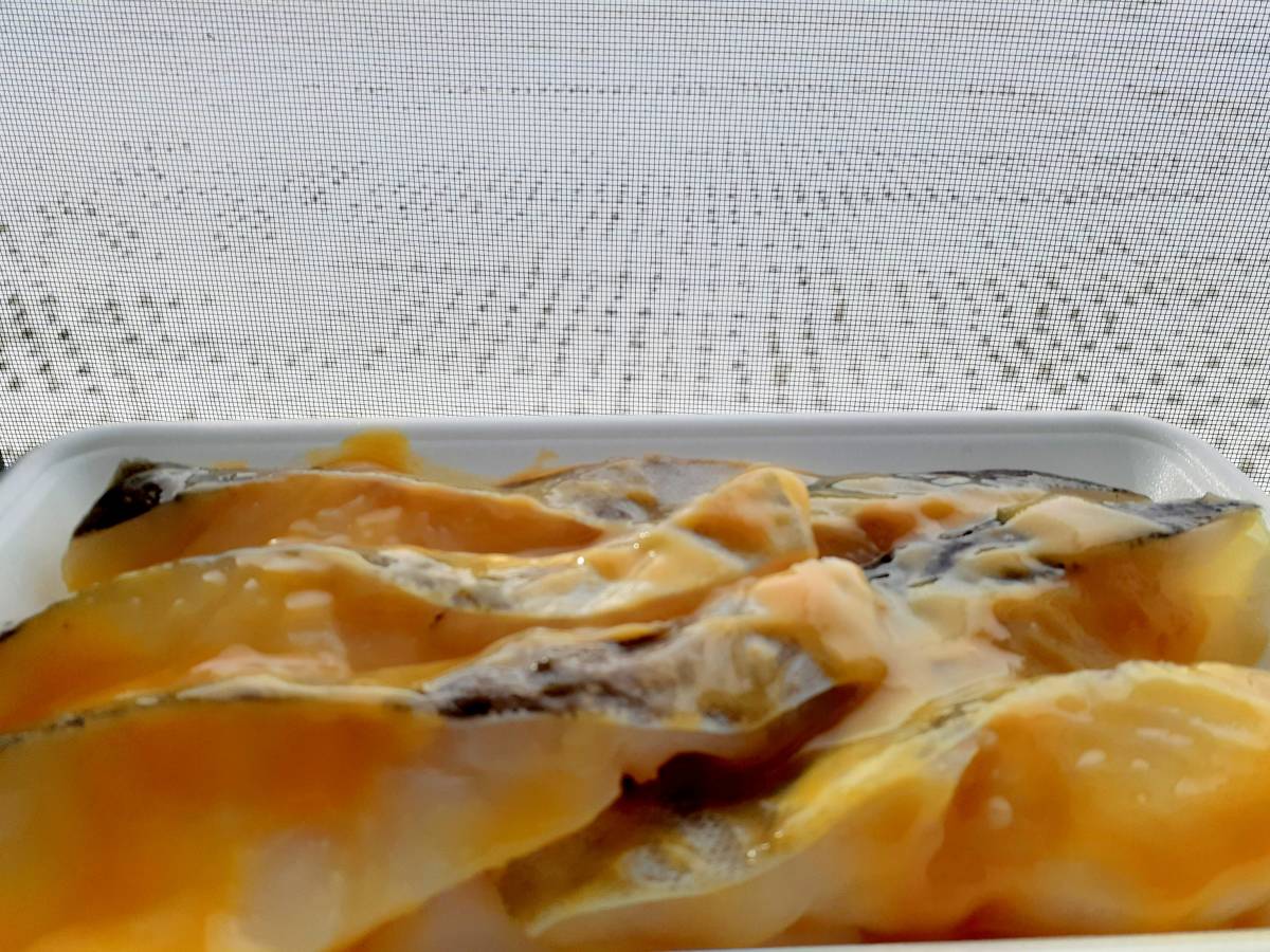 ★お家でご馳走・越後の真鱈が京都の白身と出会って美味しい味噌漬けが出来ました！真鱈西京漬け。ご飯のお供、お弁当にどうぞ！_画像1