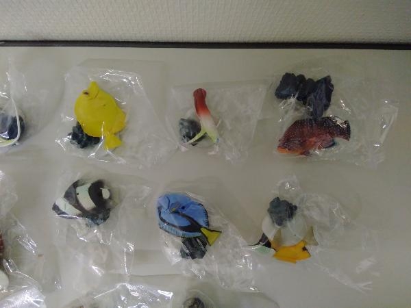 ユージン 原色海水魚図鑑1 全17種セット シークレット3種含む ユージン 原色海水魚図鑑1 全17種セット シークレット3種含む