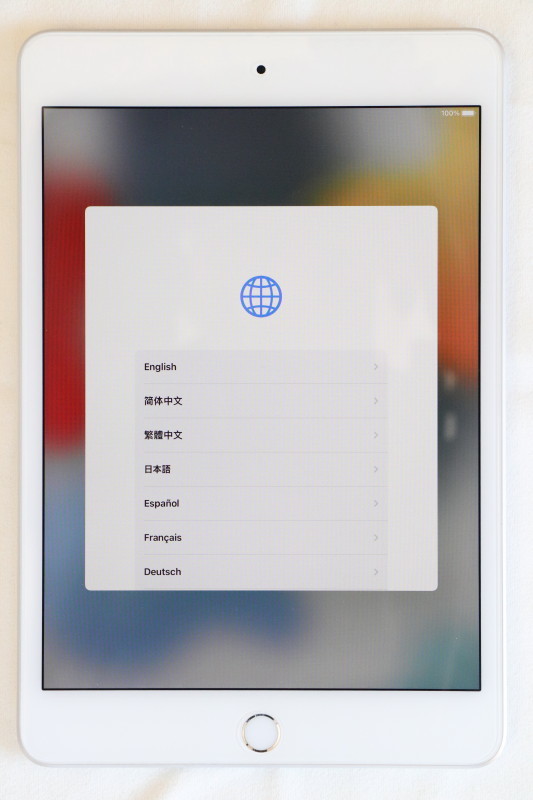 幻想的 iPad mini 7.9インチ 第5世代 Wi-Fi 64GB 2019年春モデル