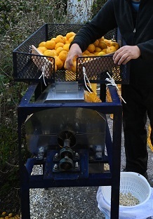 柚のや★送料無料★高知県産ゆず酢900ml×4本★農薬不使用・無添加★柚子酢・柚子果汁_絶妙な力加減に調整された機械で搾ります