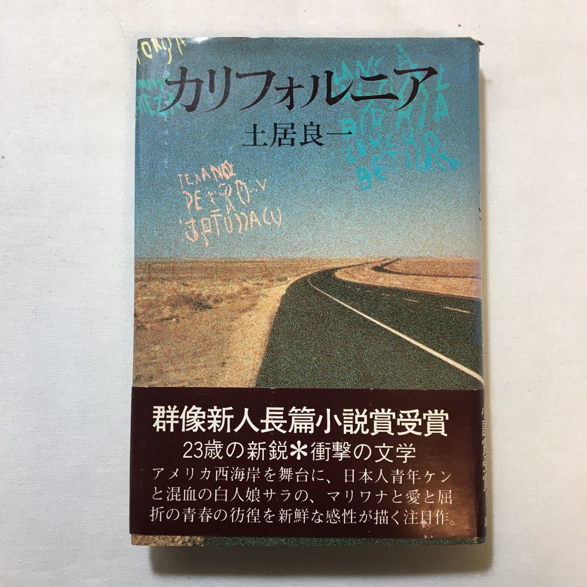 zaa-299♪カリフォルニア (講談社) 単行本 1979/2/26 土居 良一 (著)_画像1