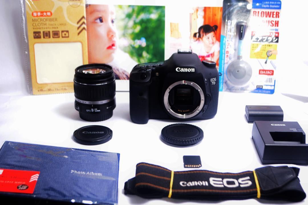 超高画質Canon EOS 7D レンズセット初心者おすすめ | www