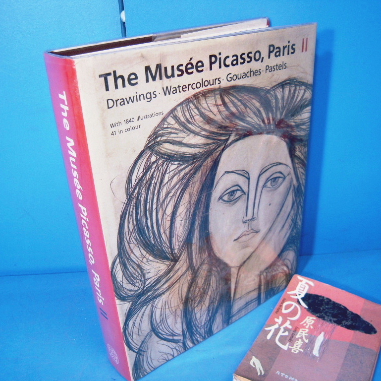 ピカソ美術館2 ドローイング 水彩 ガッシュ パステル The Picasso 