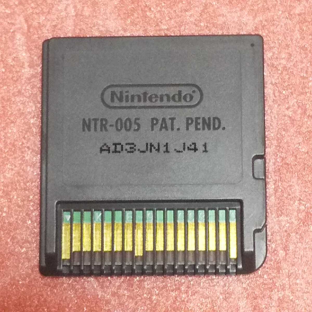 Nintendo DS ニンテンドッグス 柴＆フレンズ【管理】220178