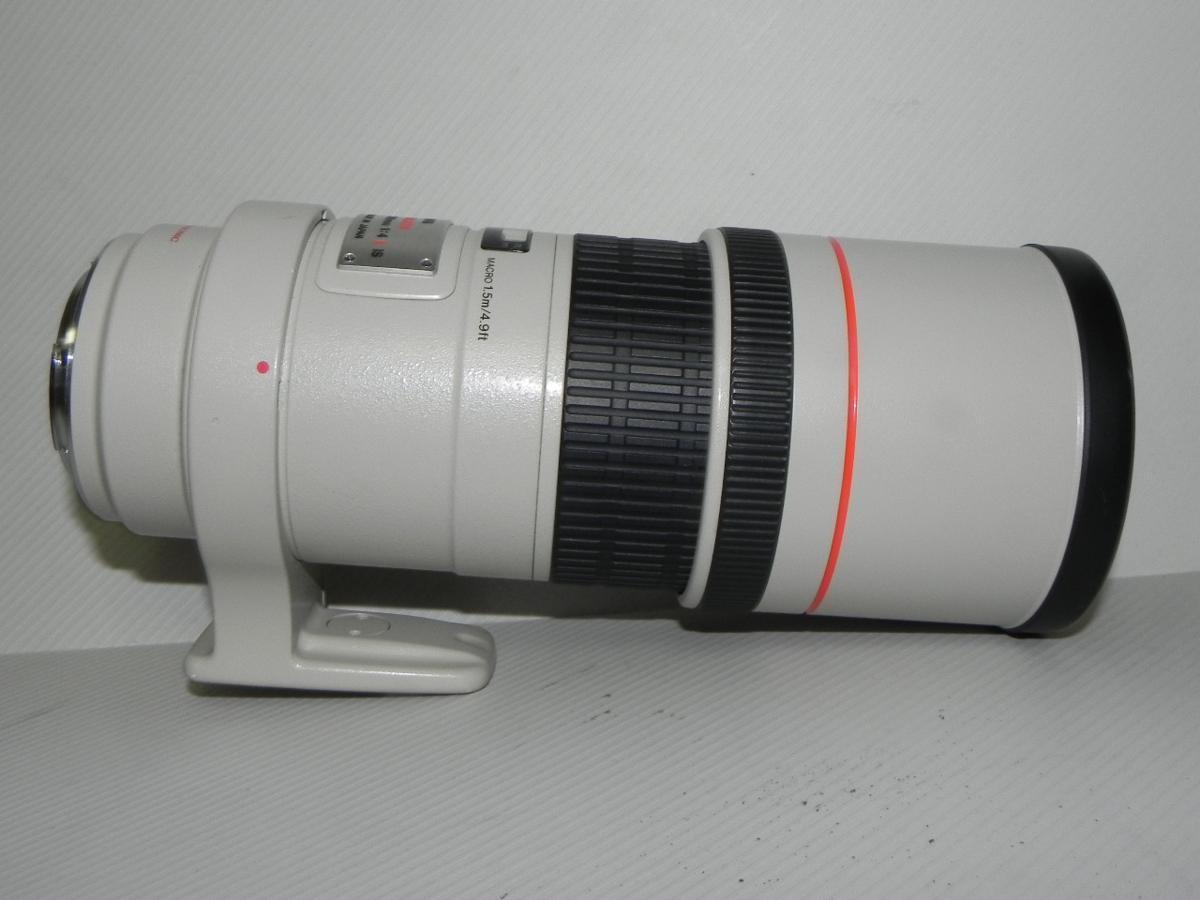 Canon EF 300mm F4 L IS USM　レンズ　(手ブレ補正)_画像1