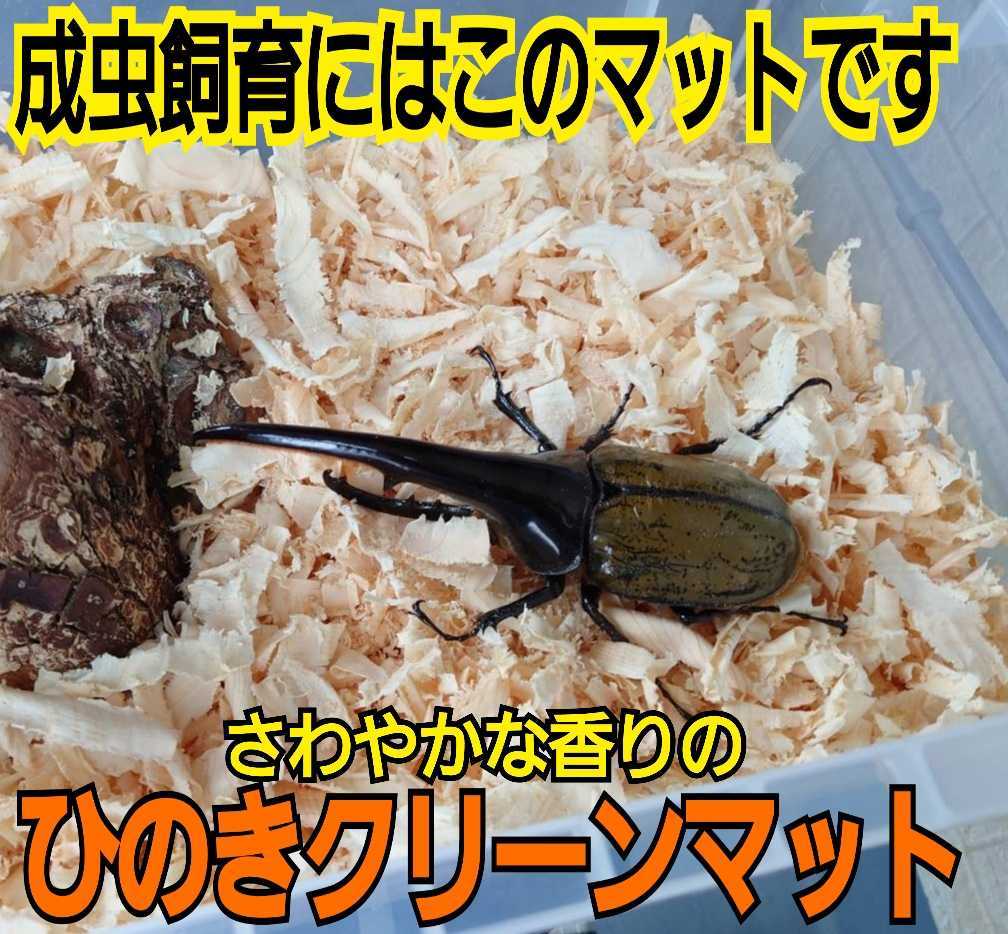 クワガタ、カブトの成虫管理はコレが一番です！針葉樹クリーンマット☆爽やかな香りでケース内が明るくなり生体が目立つ☆防ダニ消臭効果も_画像1