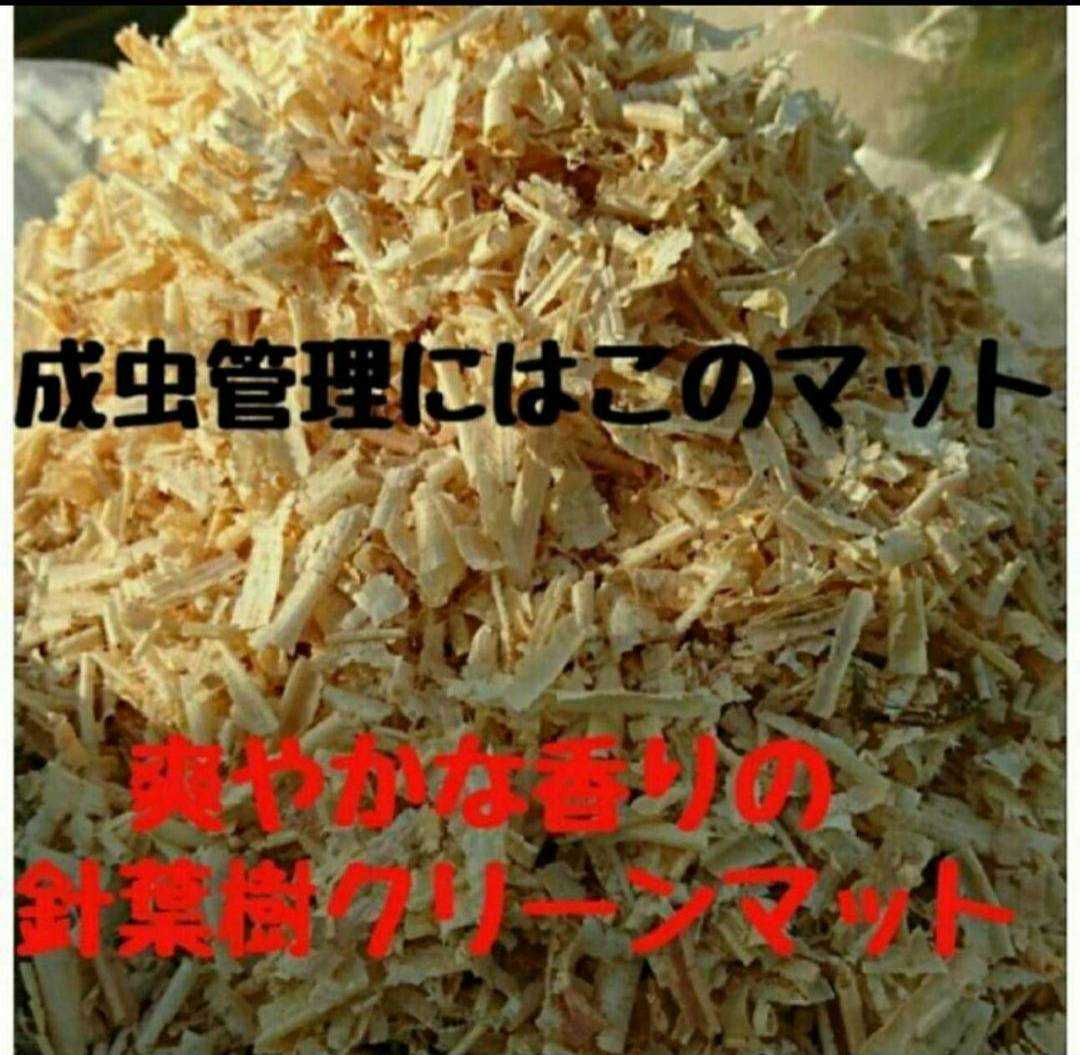 クワガタ、カブトの成虫管理はコレが一番です！針葉樹クリーンマット☆爽やかな香りでケース内が明るくなり生体が目立つ☆防ダニ消臭効果も_画像10