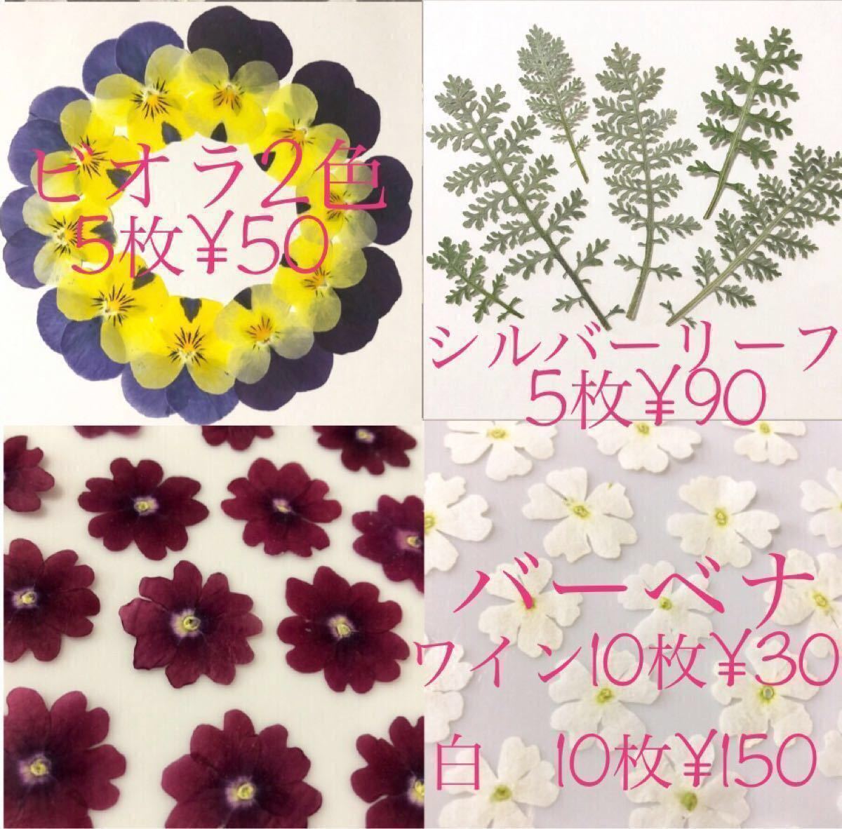 小花MIX Z  シルバーリーフ5枚 菜の花10枚 雪柳ピンク10