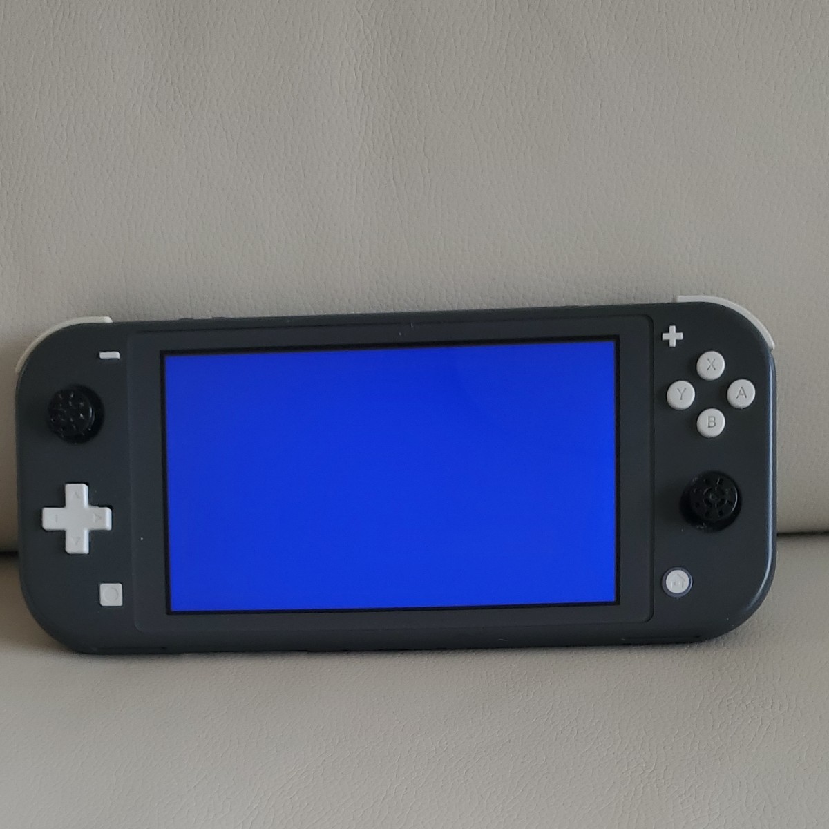 ニンテンドースイッチライト　Nintendo Switch Lite グレー　ジャンク