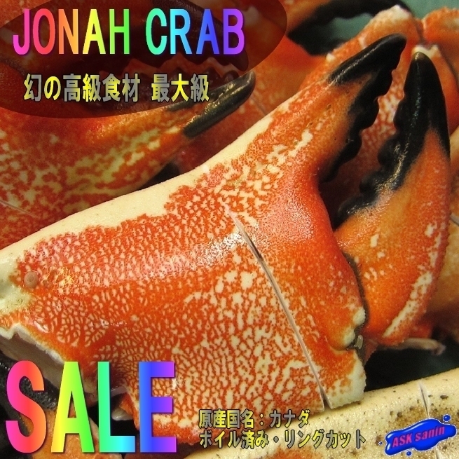 【3箱】最大級イチョウ蟹「JONAH CRAB親爪-1kg」リングカット品　カナダ産、20本位で1kg ボイル済み_画像1