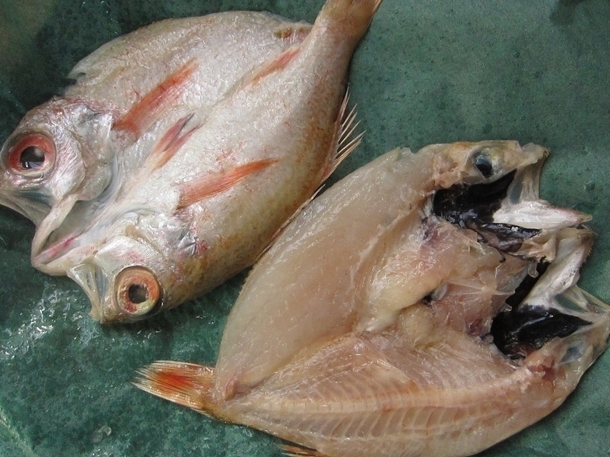 はんなま製品、超高級魚「のどぐろ開き1kg」めちゃめちゃ脂のってます！！_画像5