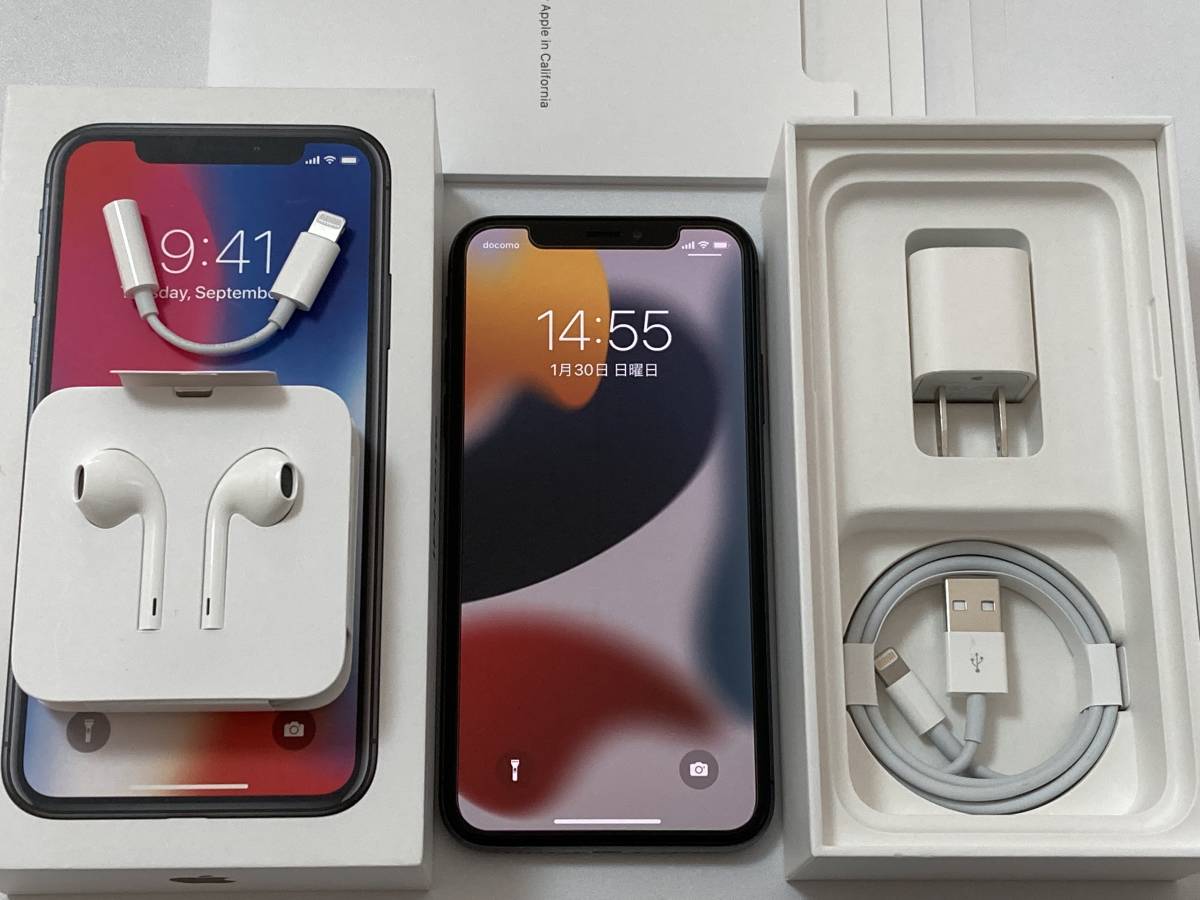 iPhone X 256 GB