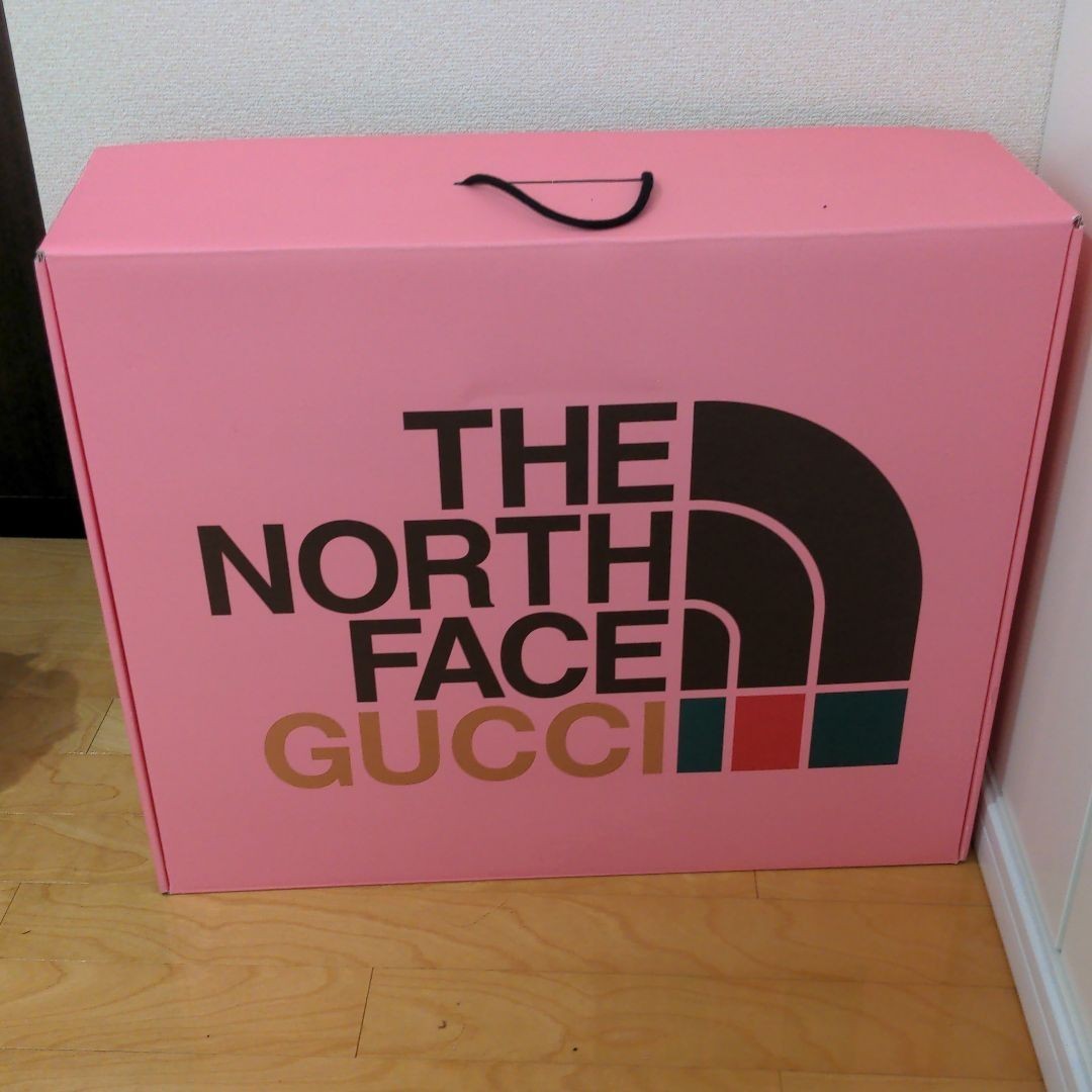 【激レア】 GUCCI×THE NORTH FACE ダウンベスト