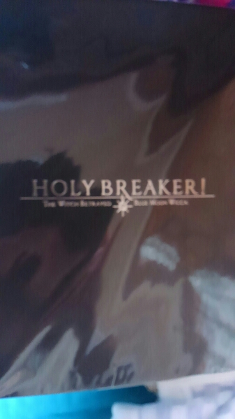 樋上いたる HOLY BRAKER！限定特装 key C97　_画像1