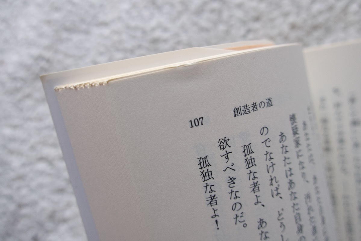 ワイド版 岩波文庫 ツァラトゥストラはこう言った (上) (岩波書店) ニーチェ、氷上英廣訳 2008年3刷_画像6