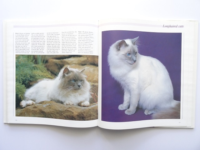 洋書◆猫の写真集 本 ネコ ねこ_画像9