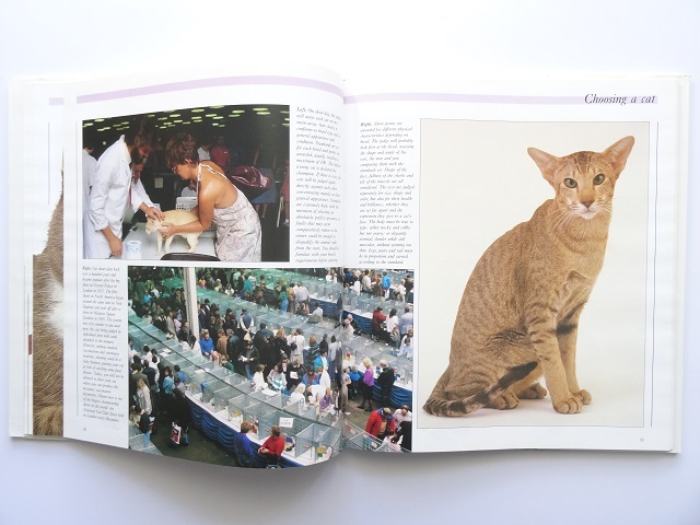 洋書◆猫の写真集 本 ネコ ねこ_画像7