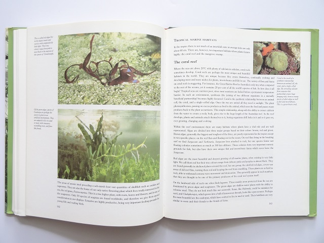  foreign book *. obi rain .. repeated reality did greenhouse. materials compilation book@ plant building design 