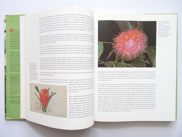  foreign book *. obi rain .. repeated reality did greenhouse. materials compilation book@ plant building design 