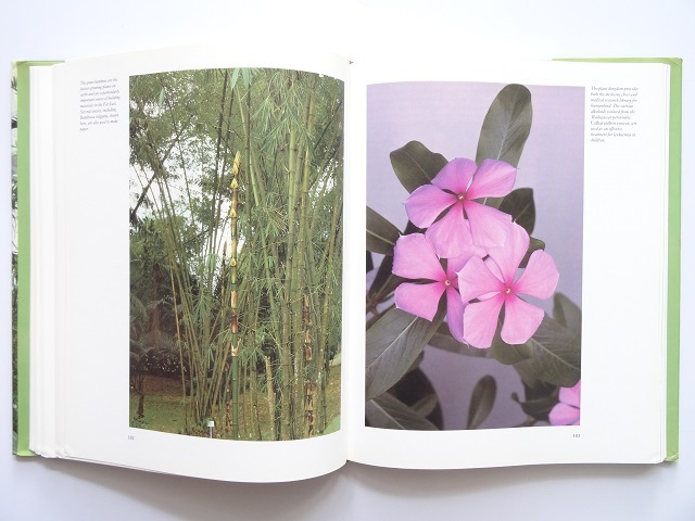  foreign book *. obi rain .. repeated reality did greenhouse. materials compilation book@ plant building design 