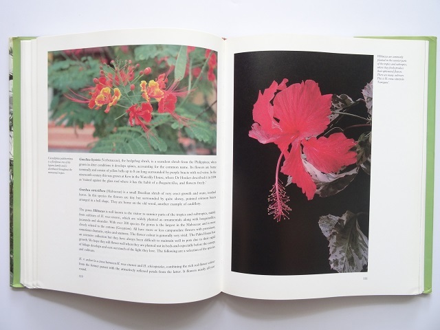  foreign book *. obi rain .. repeated reality did greenhouse. materials compilation book@ plant building design 