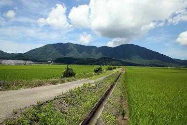 大好評ブランド令和3年産　宮城県産　だて正夢中米　玄米24ｋｇ_画像1