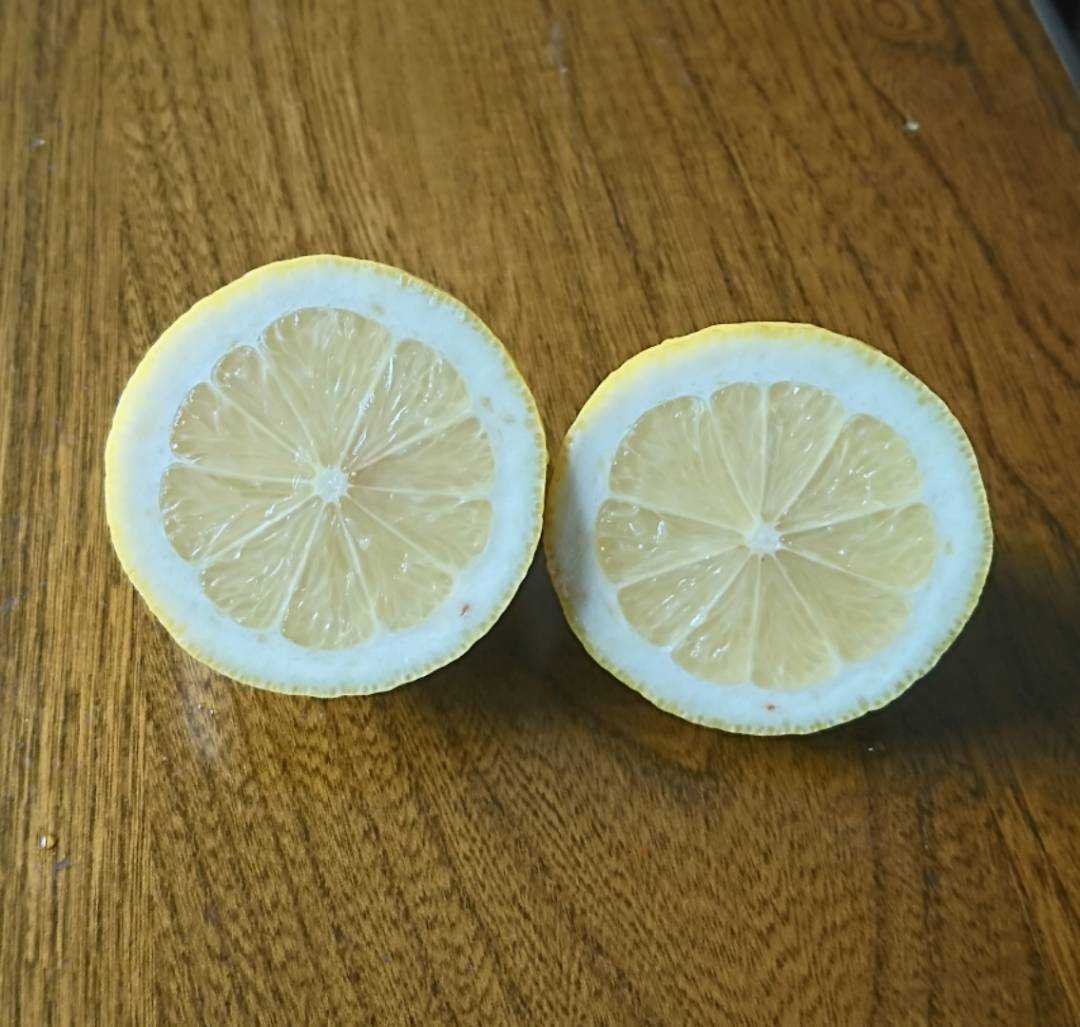 【訳あり】無農薬！広島県大崎下島産 特別栽培レモン 3キロ_画像3