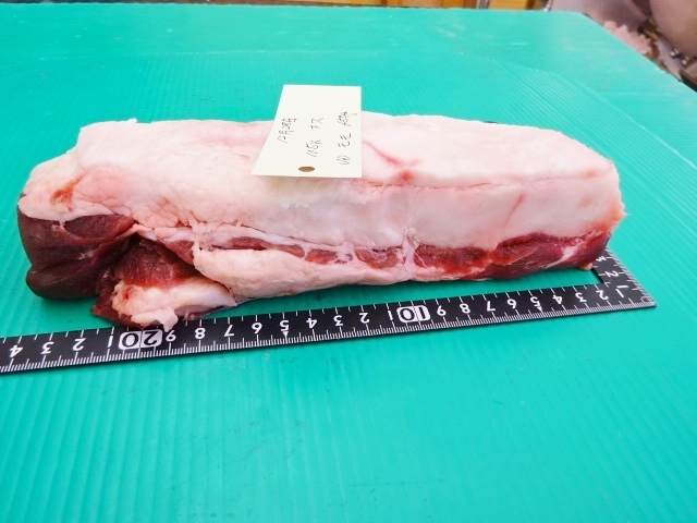 福岡産天然猪肉　モモ　（16）　オス　650ｇ_画像4