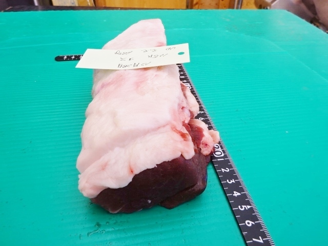福岡産天然猪肉　モモ　（16）　オス　650ｇ_画像3