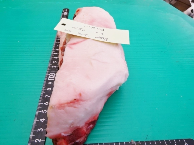 福岡産天然猪肉　モモ　（16）　オス　650ｇ_送料　60サイズ