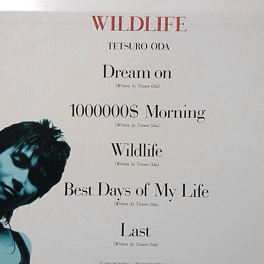 織田哲郎 WILDLIFE ★ 1987年リリース 全5曲 ミニアルバム ● 歌詞カード付 ★アナログ盤 [5556RP_画像3