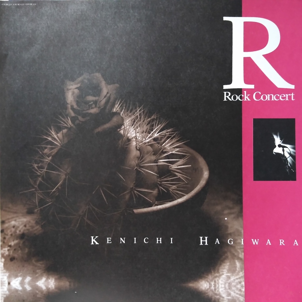 LD Hagiwara Ken'ichi R ROCK CONCERT * 1990 year Live compilation * laser disk [9108RP