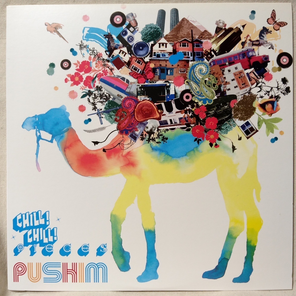 PUSHIM CHILL! CHILL! ★ 全5曲収録 ★ アナログ盤 [9754RP_画像1