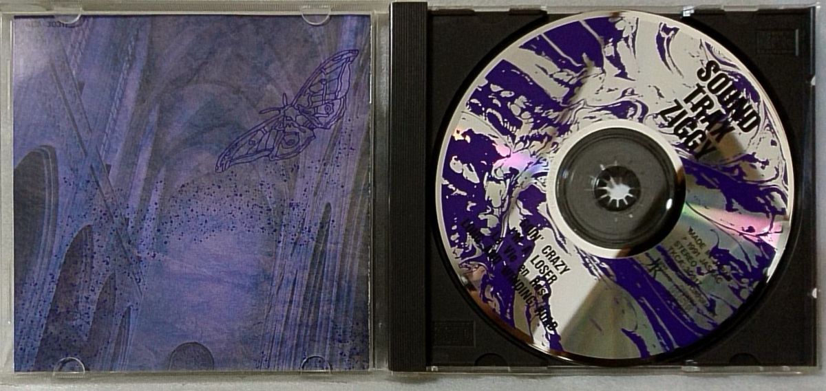 ZIGGY SOUND TRAX ★ 1991年リリース 全4曲 ミニアルバム / CD [4376CDN_画像4