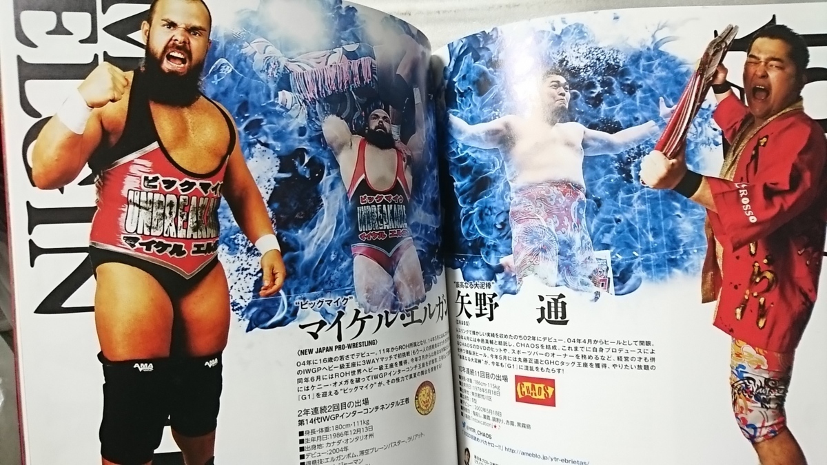 新日本プロレス G1 CLIMAX 2016 ★ パンフレット 中古本【中型本】[1690BO_画像8