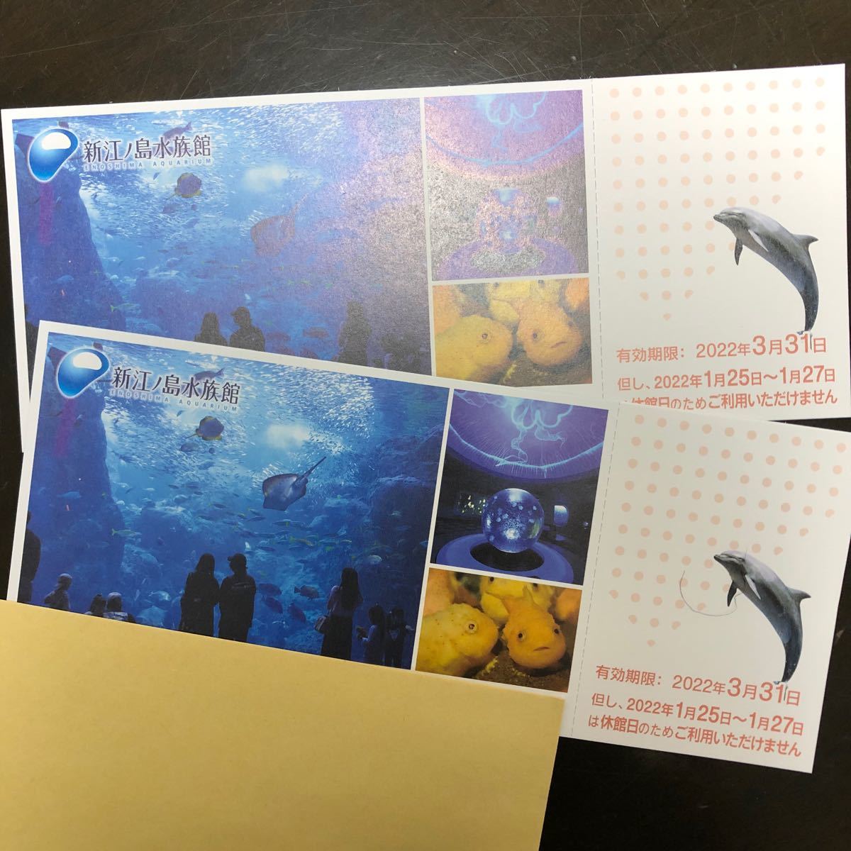 新江ノ島水族館チケット1枚