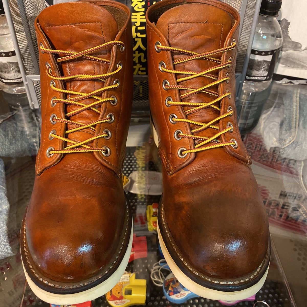 REDWING アイリッシュセッター プレーン ゴールドラセット 四角犬タグ