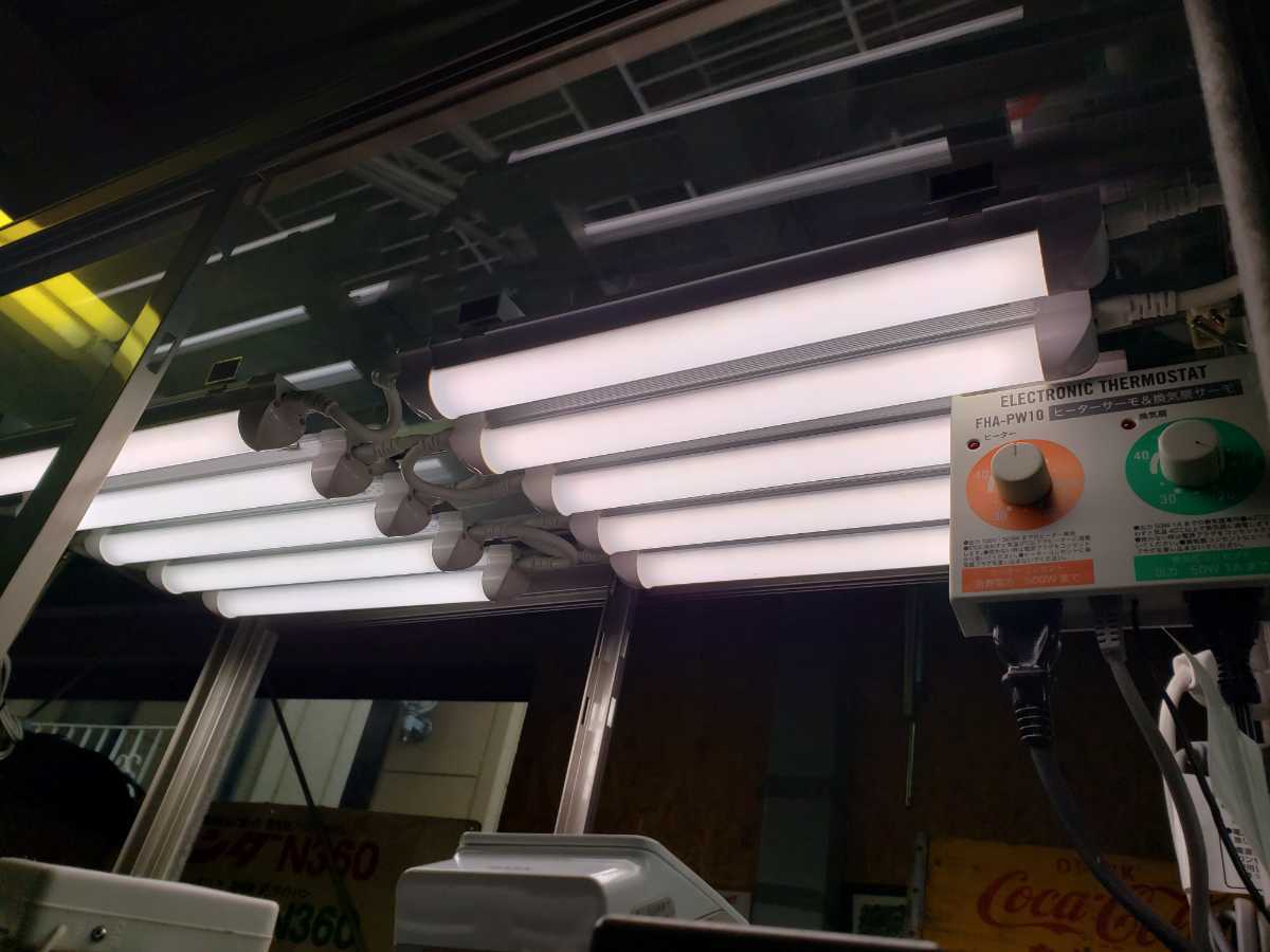 ピカコーポレーション FHBー1508BL ガラス温室植物 爬虫類 ピカコーポレーション FHBー1508BL ガラス温室植物 爬虫類