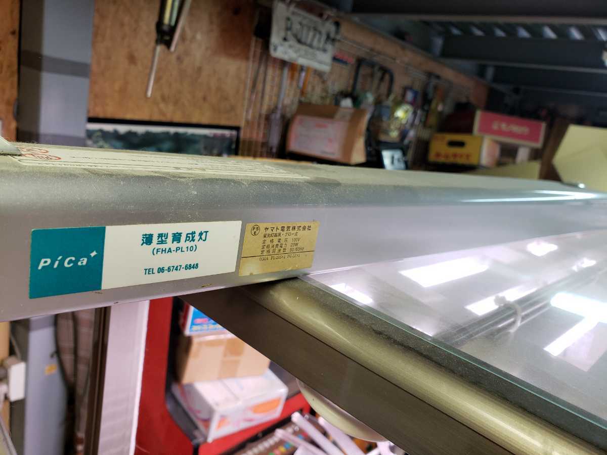 ピカコーポレーション FHBー1508BL ガラス温室植物 爬虫類 ピカコーポレーション FHBー1508BL ガラス温室植物 爬虫類
