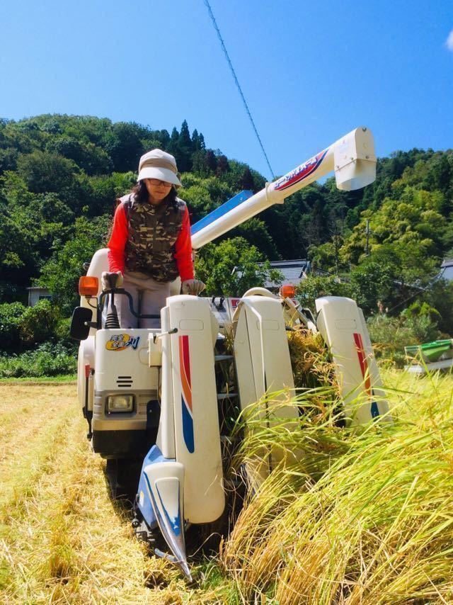 令和3年産【丹波産】コシヒカリ 玄米 -特別栽培米- “星ひかり” 450g_画像10