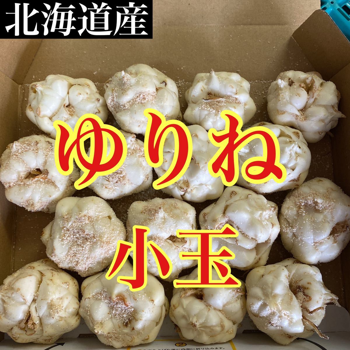 北海道産　ゆりね　15玉前後　箱込み約1キロ入り　送料無料_画像1