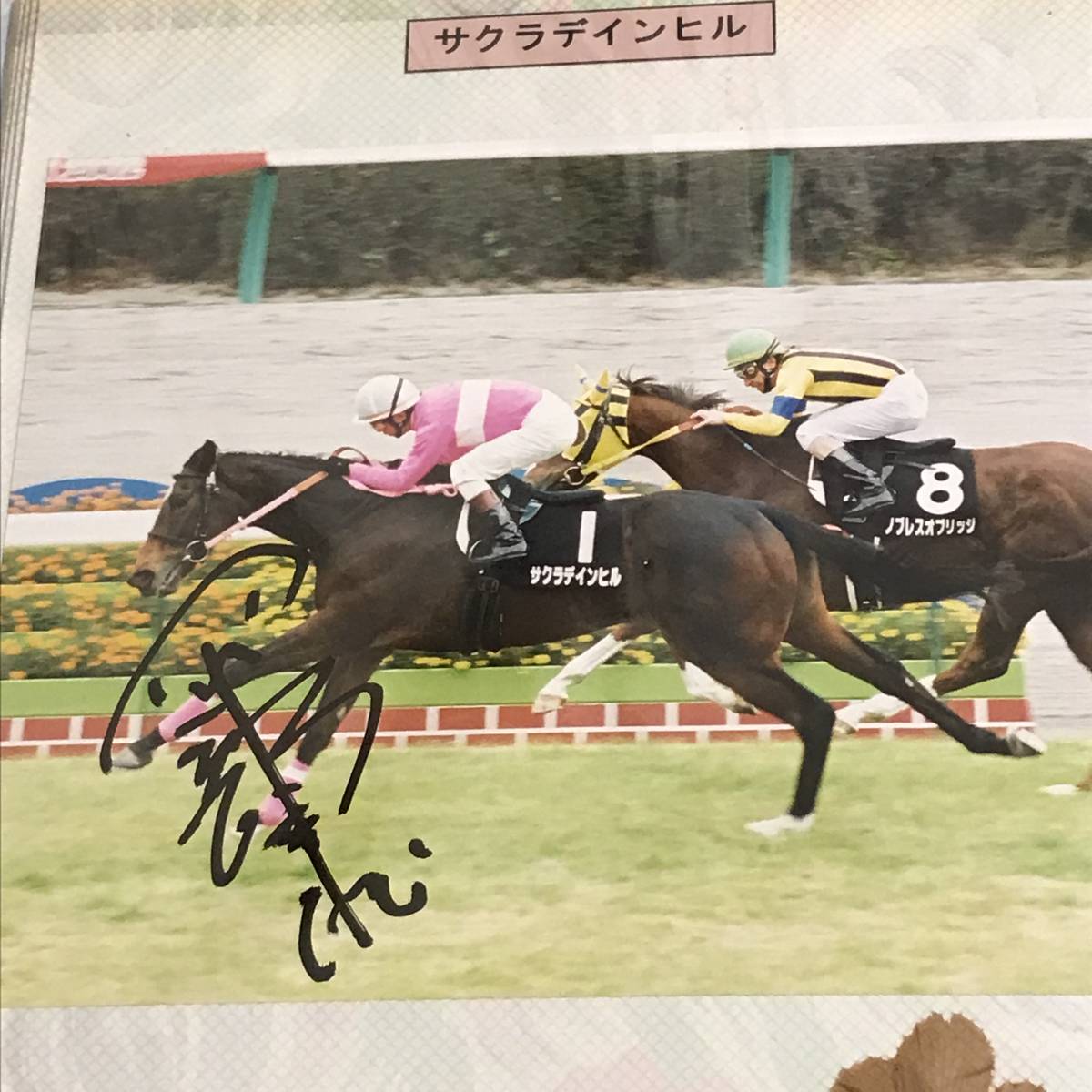  Okabe . male . hand with autograph Sakura din Hill goal front photograph thousand . special (2002.11.17)