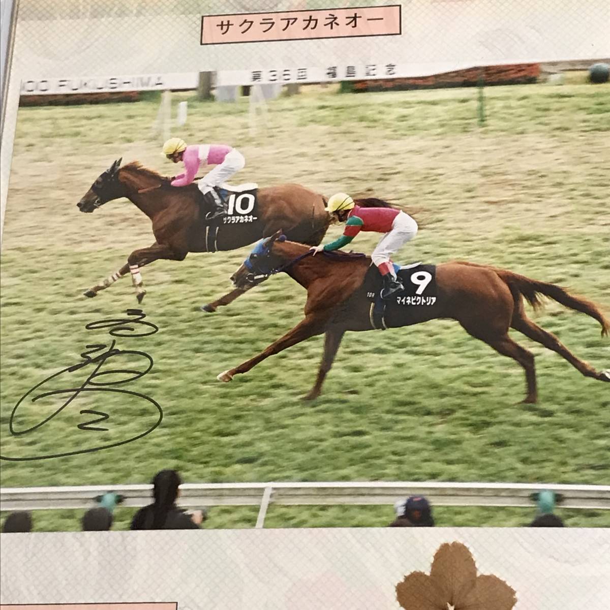  height . Akira . hand with autograph Sakura red Neo - goal front photograph .. river special (H12.11.18)