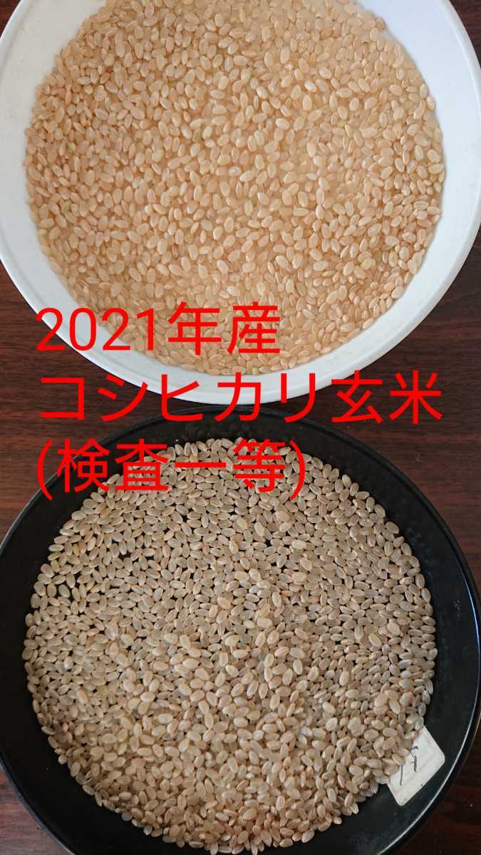 【検査一等】茨城県産コシヒカリ玄米20キロ