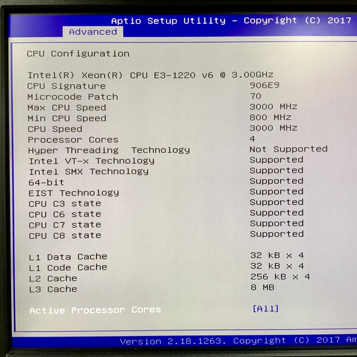 【ジャンク】 C.O.S NWS-2T100ES Ⅱ サーバPC - Xeon E3-1220 v6 / 8GB / OS無し / HDD無し 分解クリーニング済み 【J452】_BIOS起動OKです！
